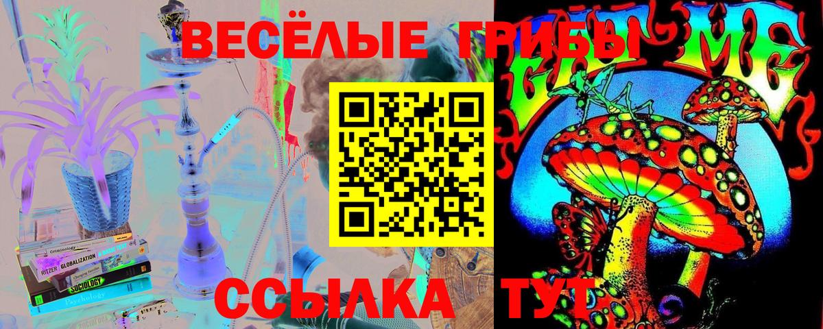 Рыбинск  Галлюциногенные грибы прущие грибы  Вход с VPN 