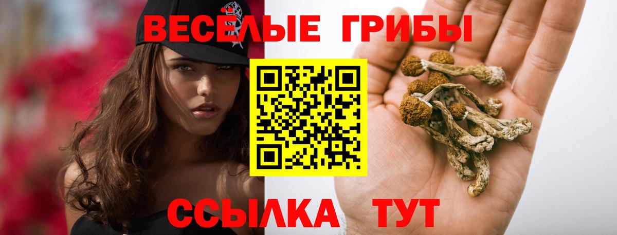 Псилоцибиновые грибы мухоморы Рыбинск